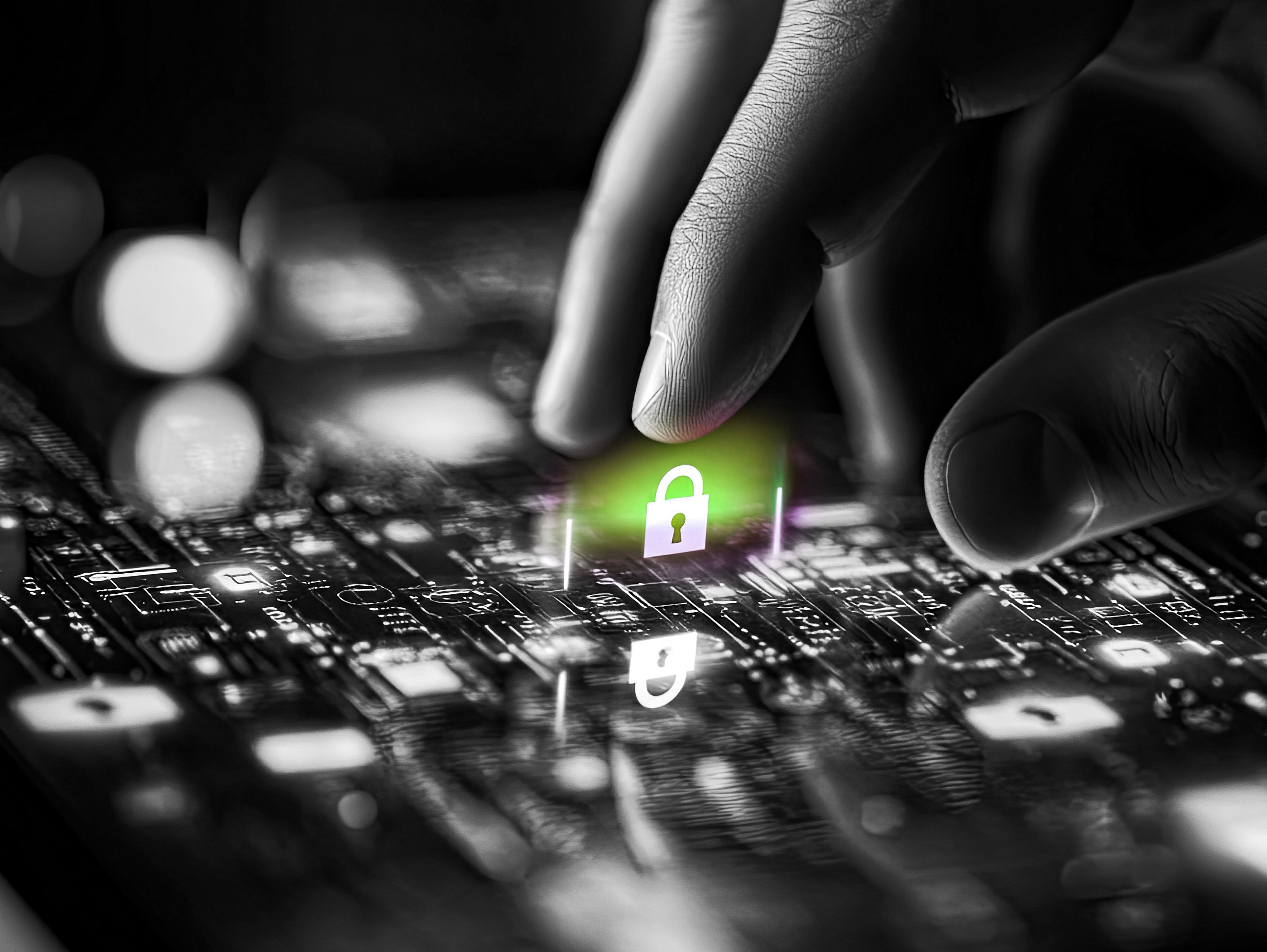 Security Fingerprint